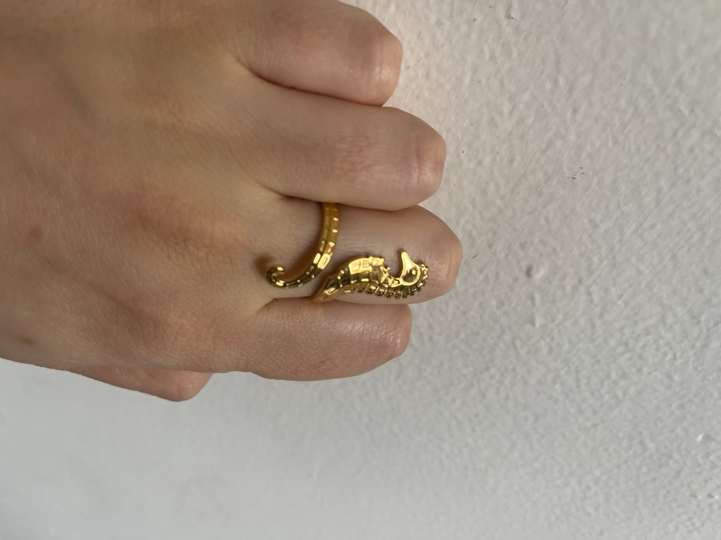 Customer photo review of Anillo Ajustable Seahorse