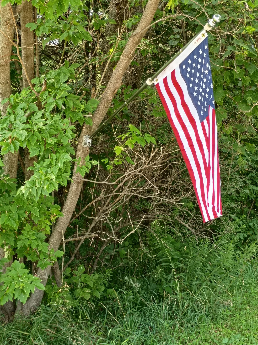 Customer photo review of 6ft Aluminum Tangle-Free Flag Pole
