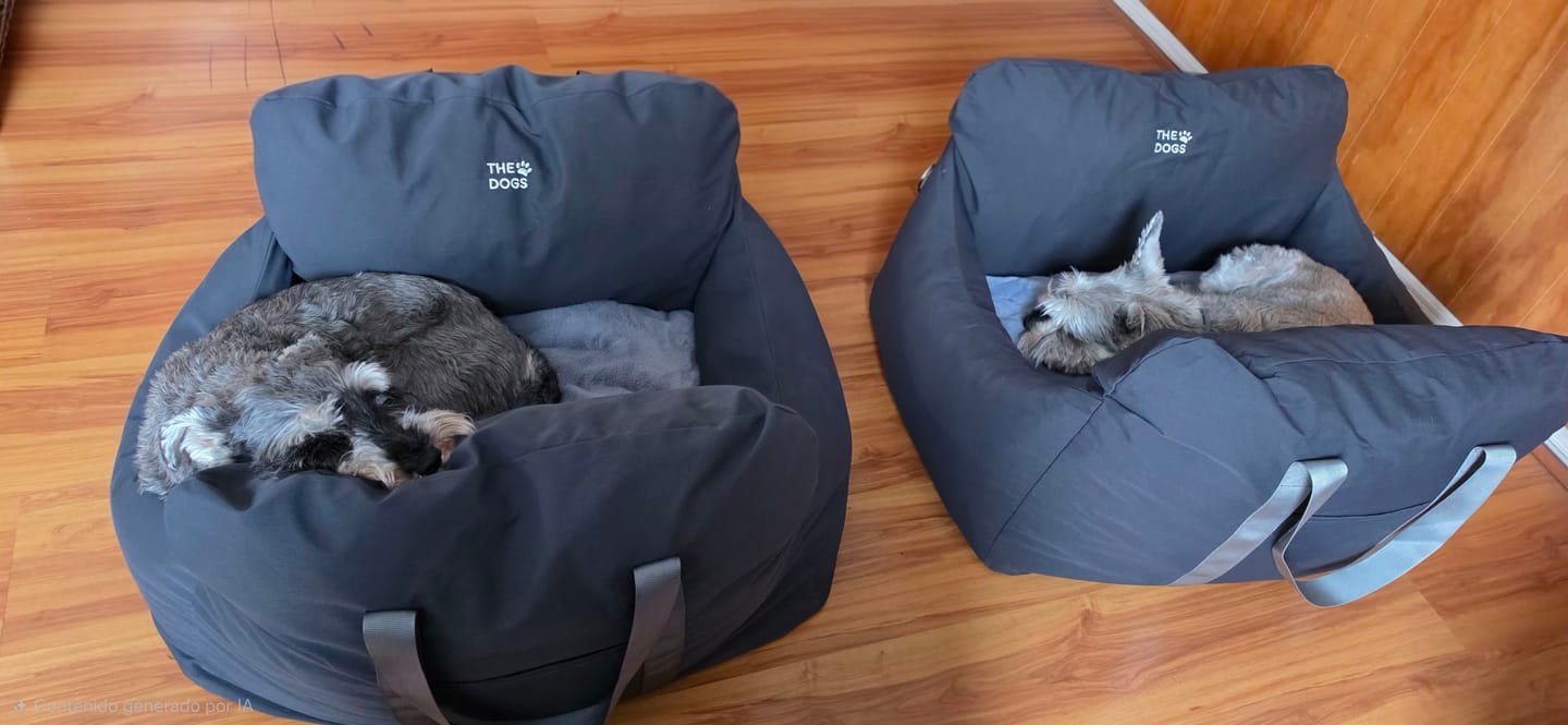 Customer photo review of Asiento Primera Clase THE DOGS — Viajes seguros y cómodos