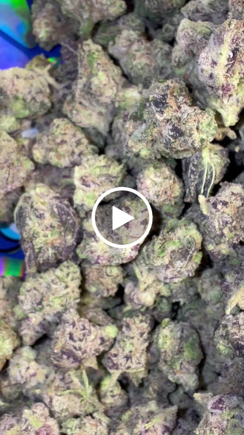 Customer video review of Garlic Cookies Indoor - Bulk - Hybrid