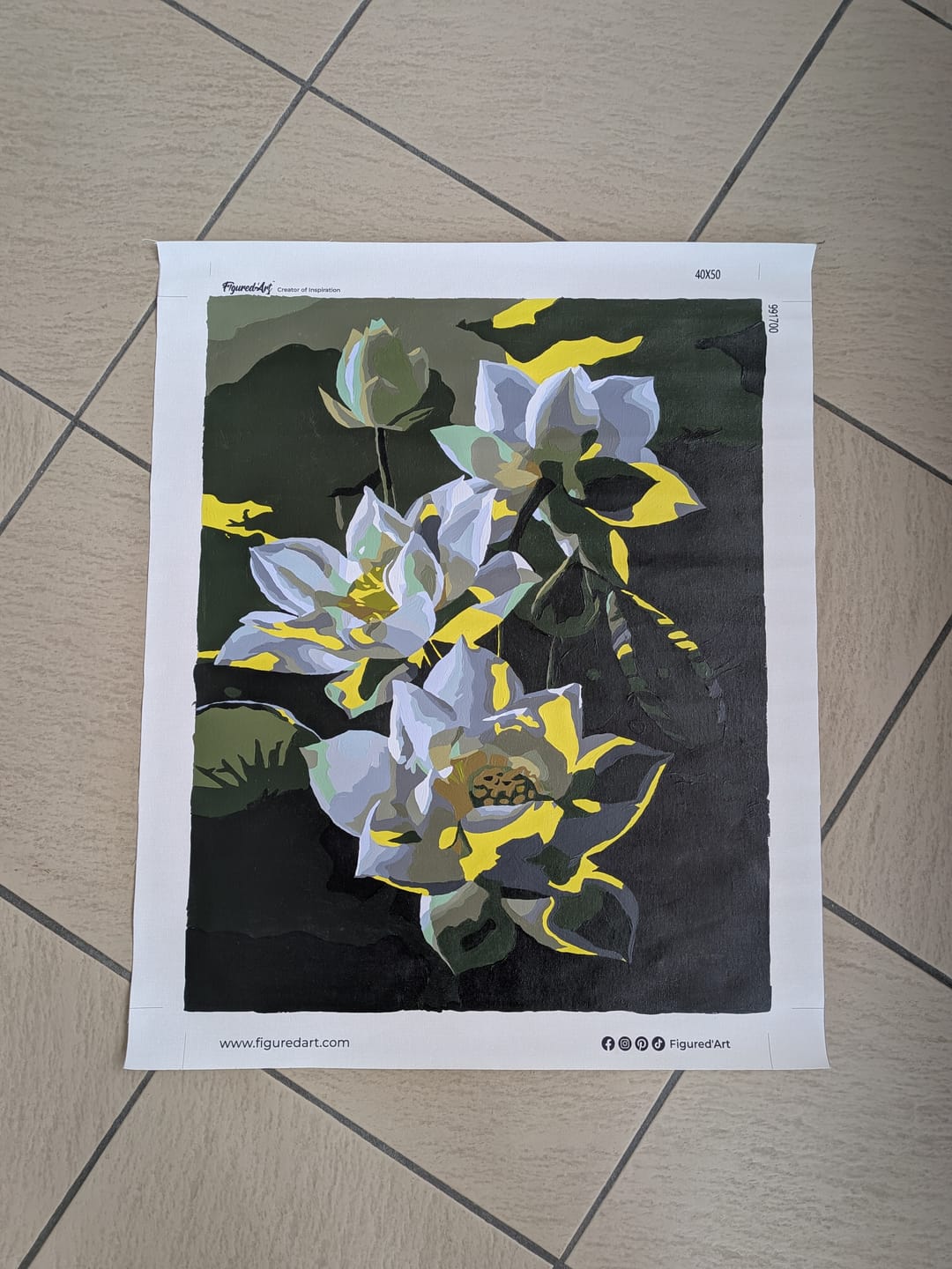Customer photo review of Jolies Fleurs de Lotus