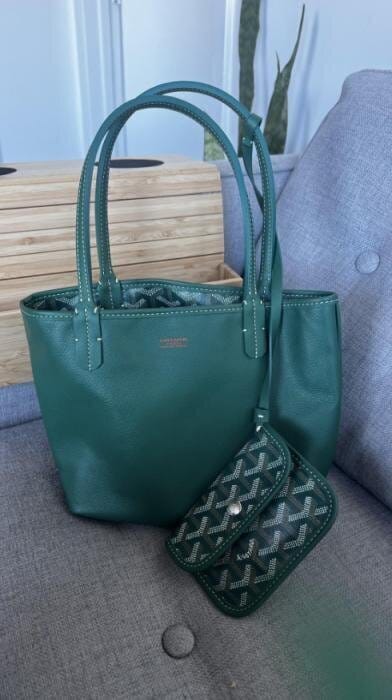 Customer photo review of Veyra Reversible Mini Tote