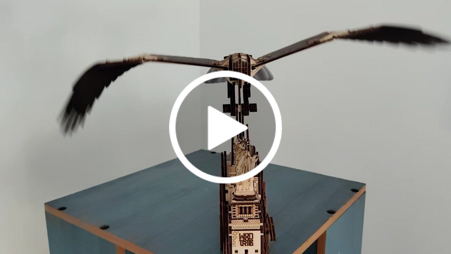 Customer video review of Liberty Eagle