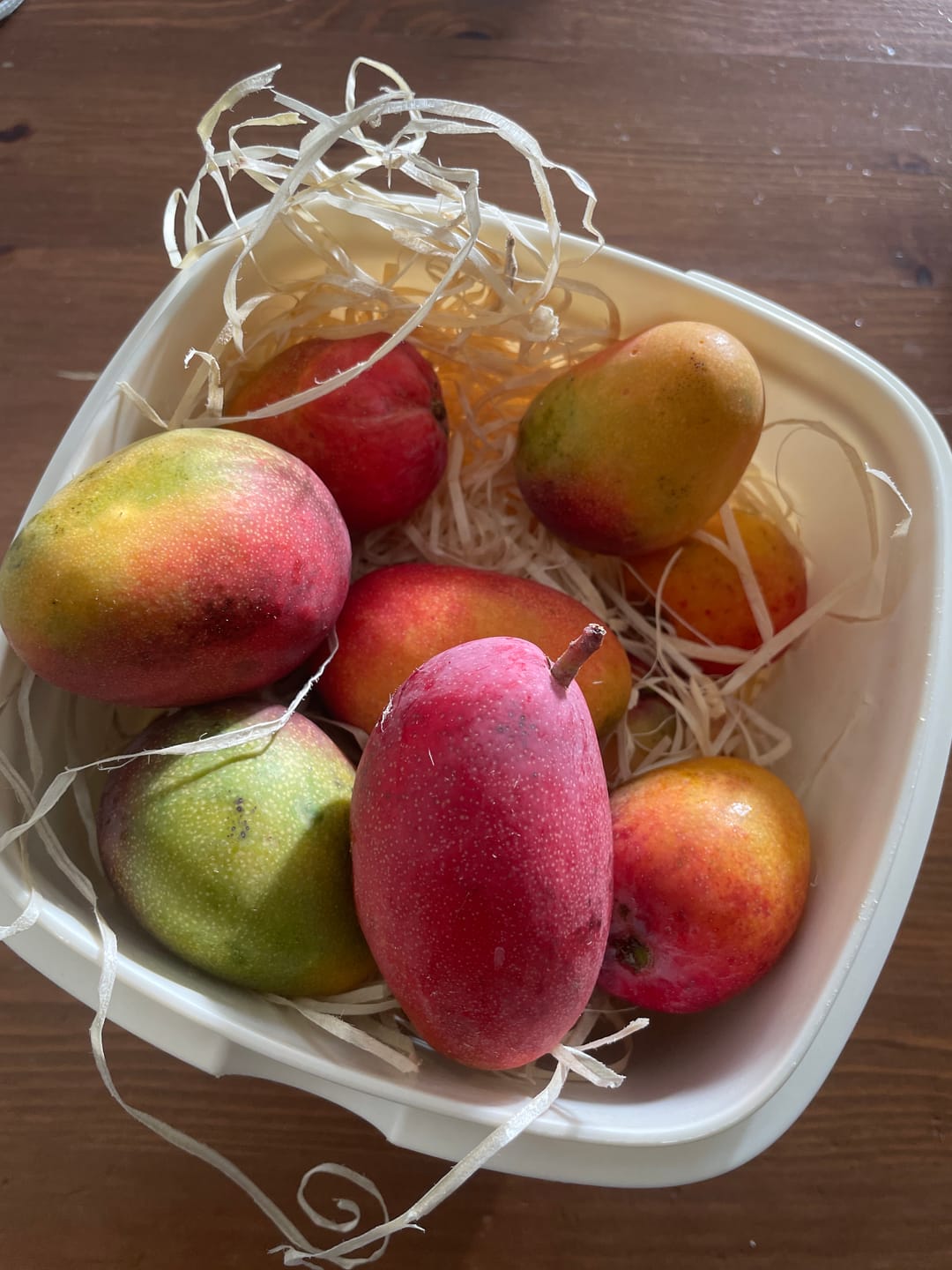 Customer photo review of Baby-Mango Irwin Bio von Julian