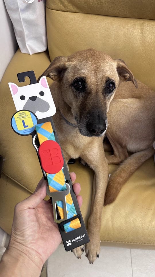 Customer photo review of Colorful Car Seat Belt Pet Leash