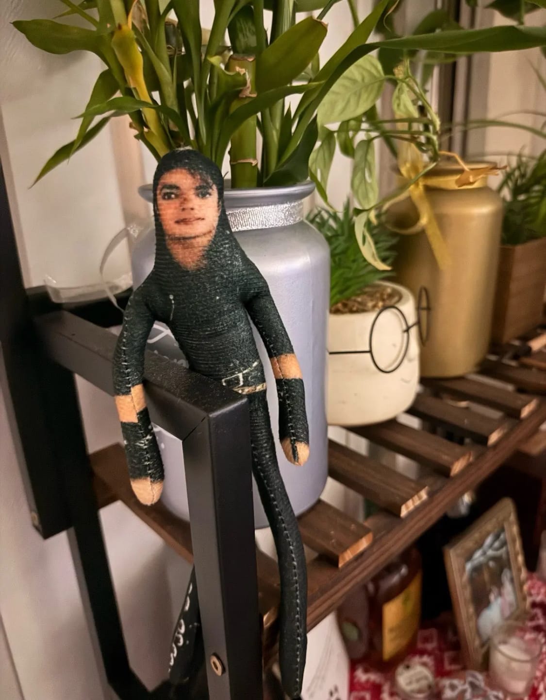 Customer photo review of Mini Michael Doll Plush