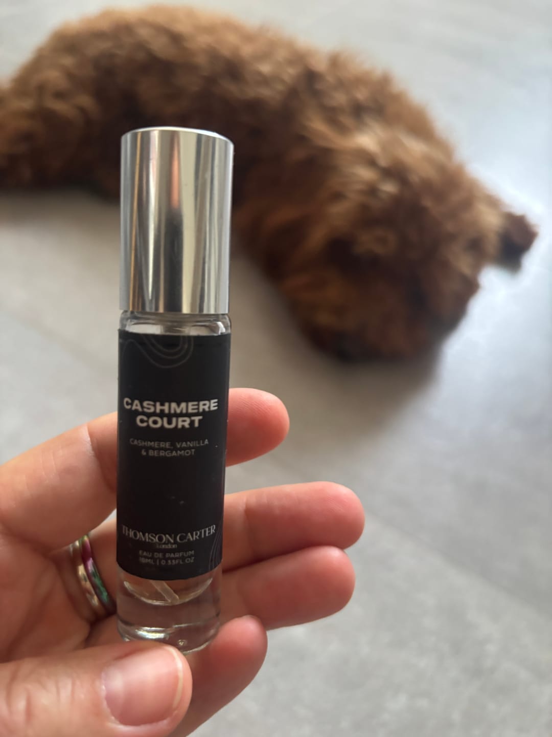Customer photo review of Cashmere Court | Eau de Parfum