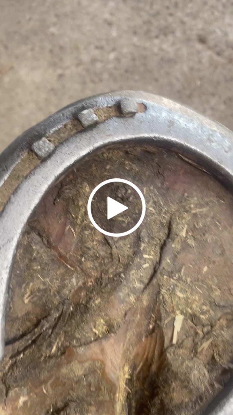 Customer video review of Kristallkraft No2