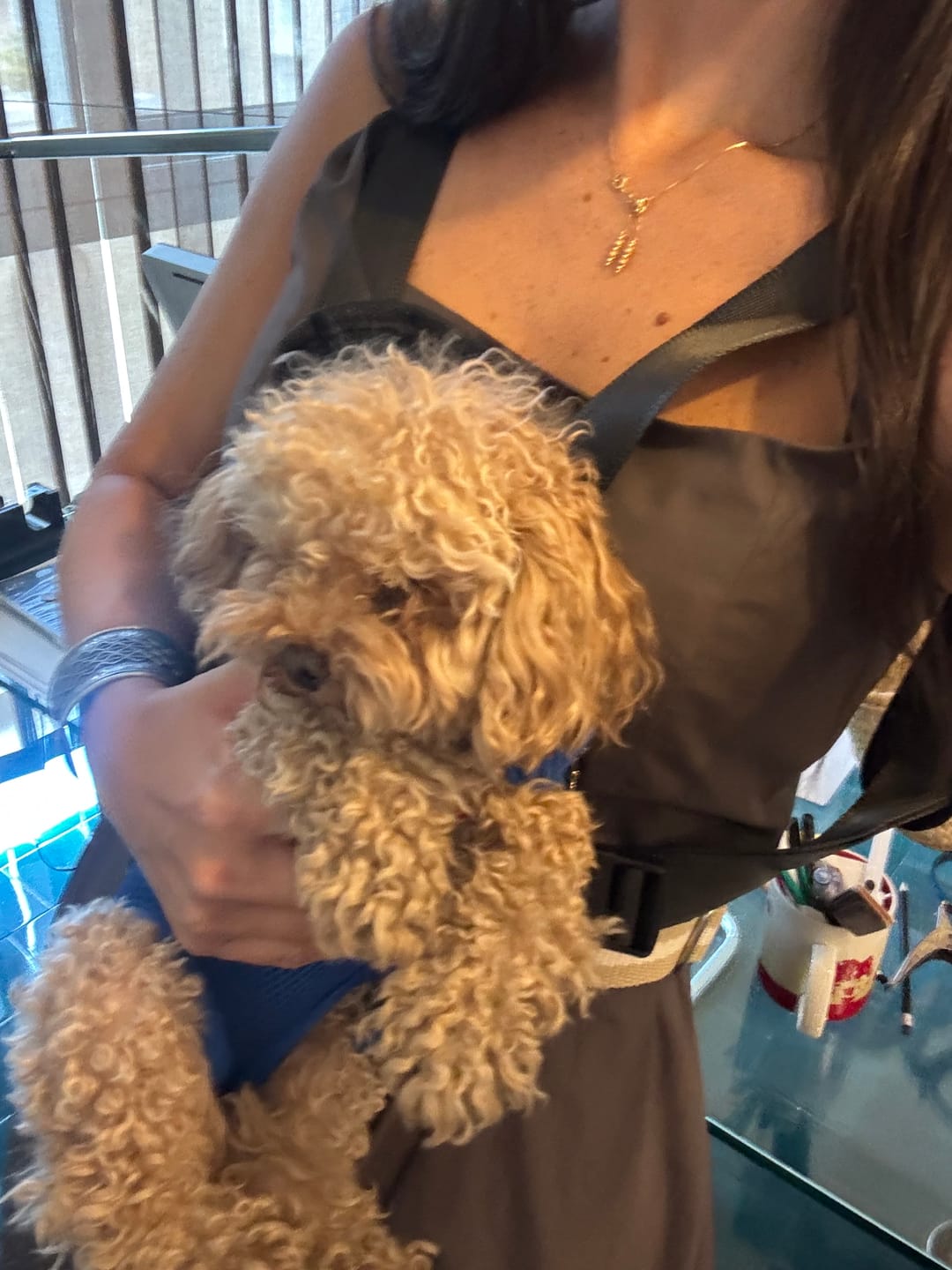 Customer photo review of Sweet Animal Pet&Go