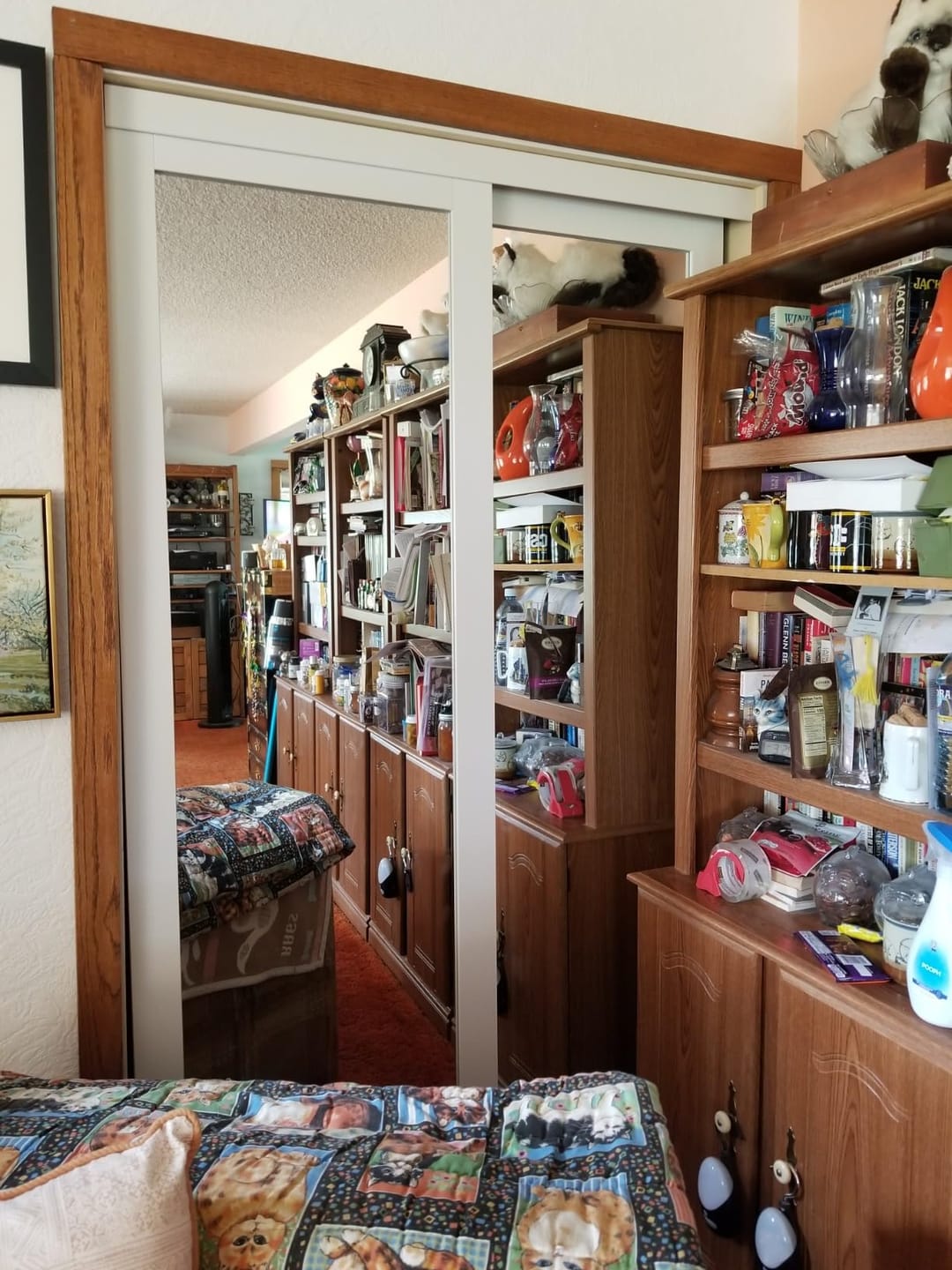 Customer photo review of TENONER White MDF 1-Lite Mirror Single/Double Sliding Closet Door for Bedroom, Closet, and Living Room - Space Saving