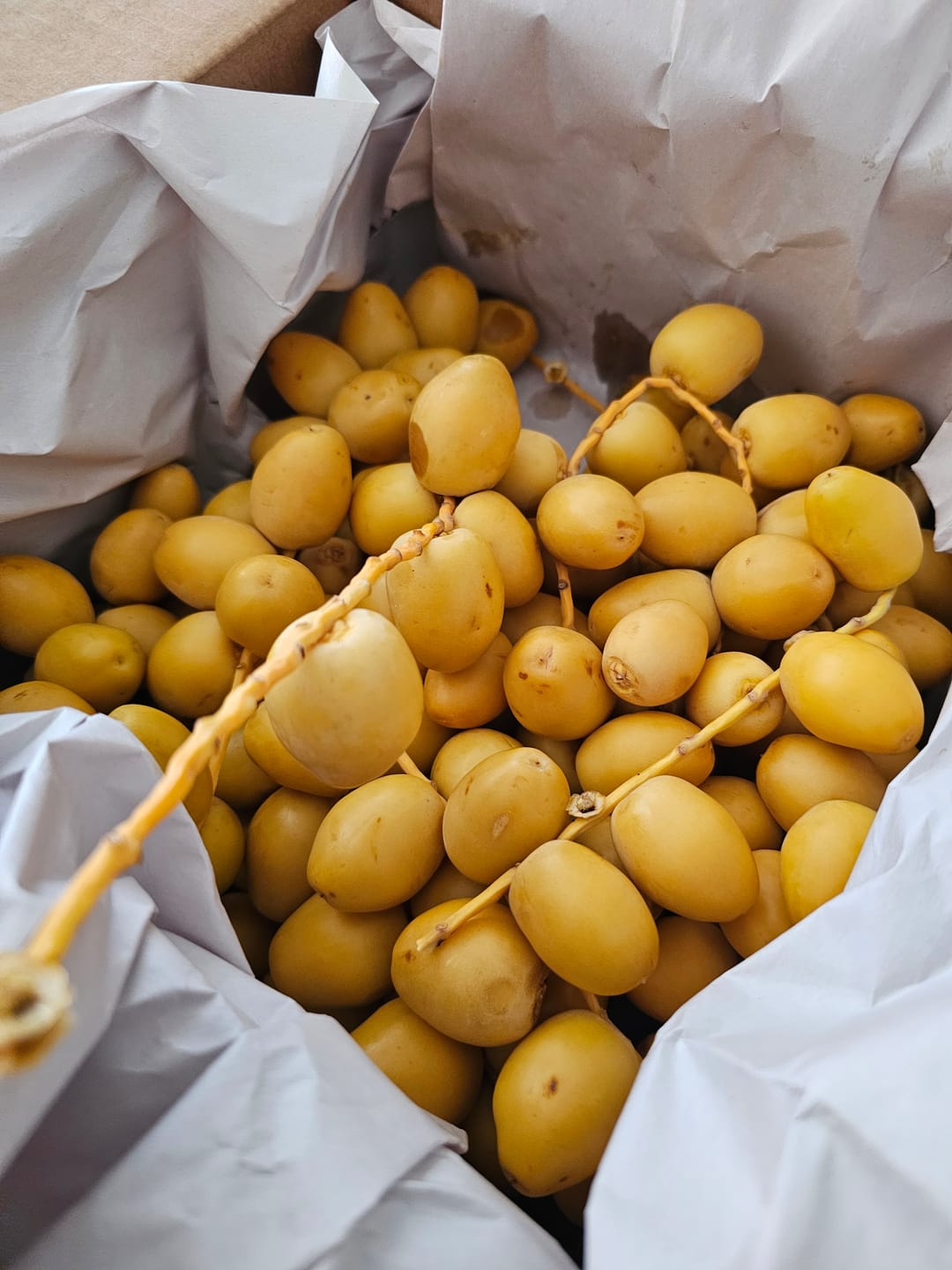 Customer photo review of Organic Yellow Barhi Dates (Khalal Barhi Dates)
