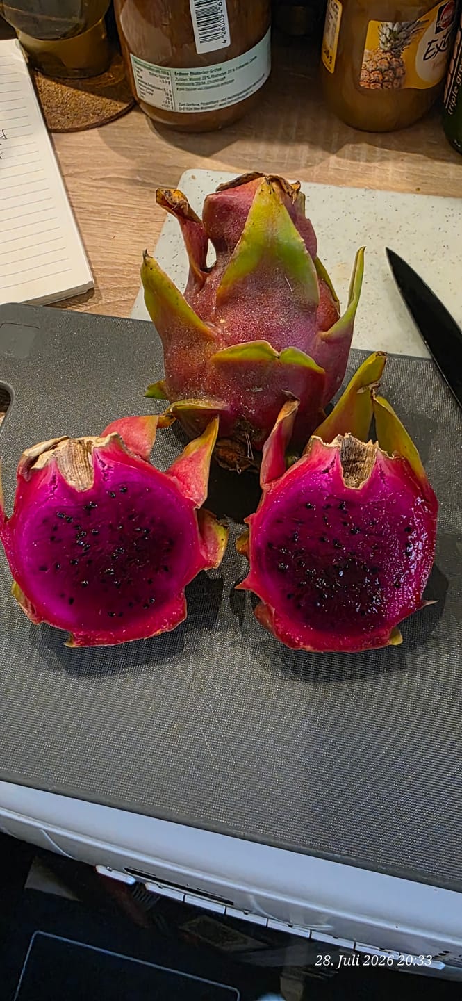 Customer photo review of Drachenfrucht rot von Julian