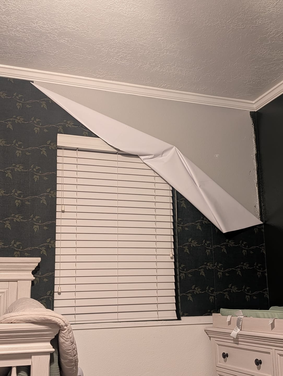 Customer photo review of Wyndell Wallpaper by Melissa Dayton Art