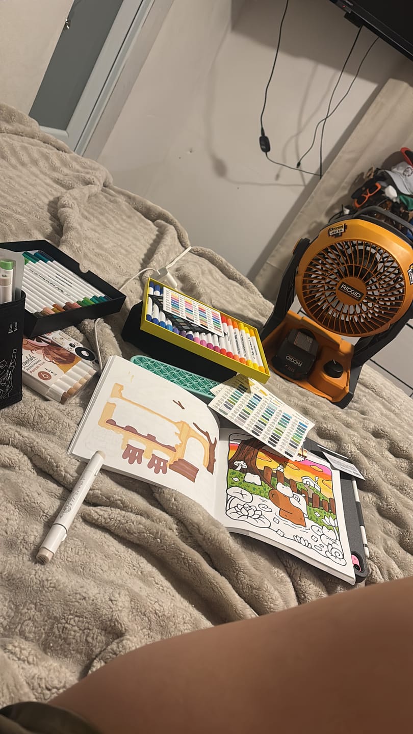 Customer photo review of Ohuhu Honolulu 6 Colors Dual Tips Alcohol Art Markers (New Color Codes)