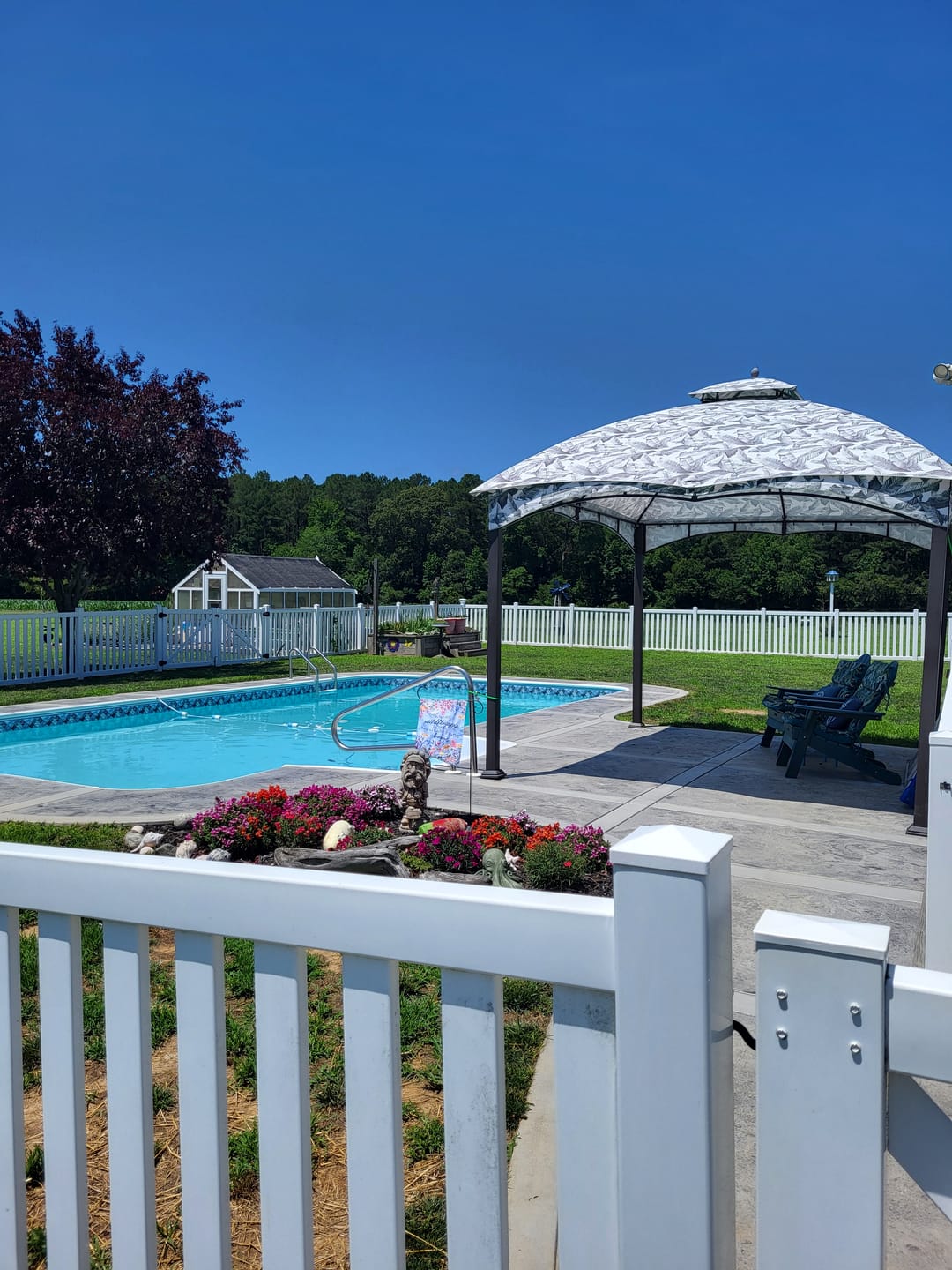 Customer photo review of BioGuard Smart Shock Multi-Purpose Pool Treatment