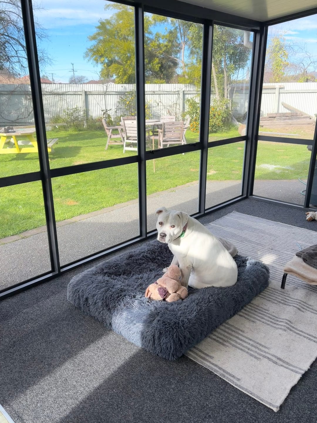 Customer photo review of Calming Cover