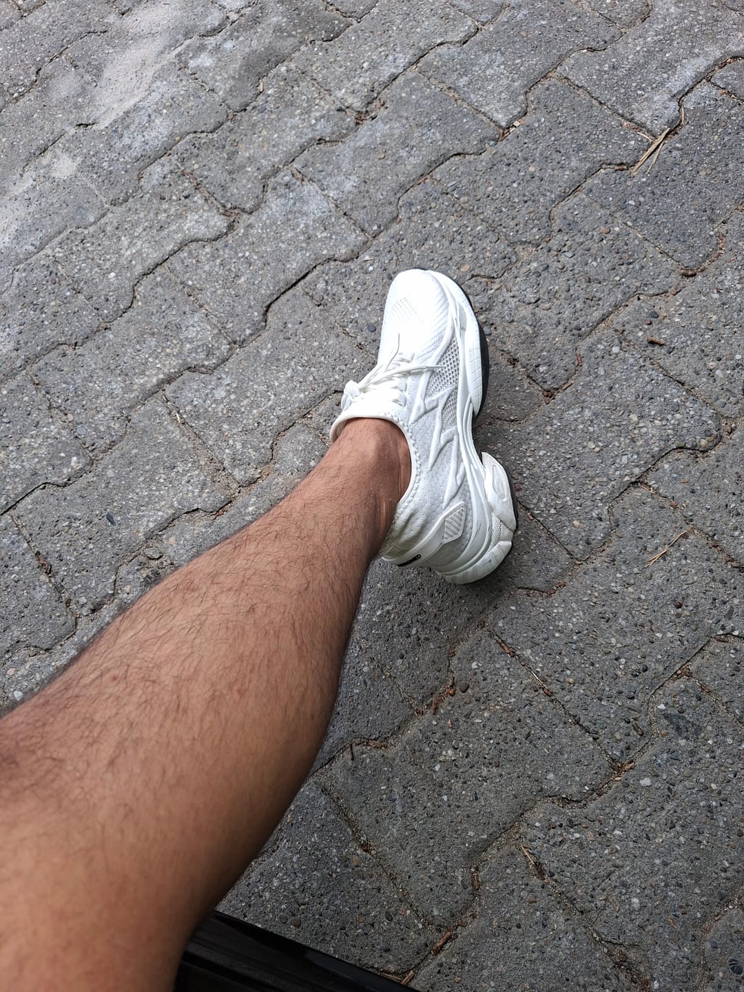 Customer photo review of ELEVATESHOES LIMITLESS