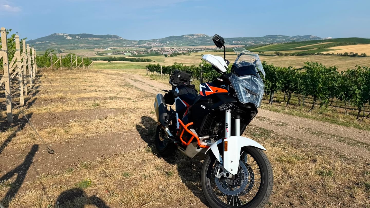 Customer photo review of Tail Pack