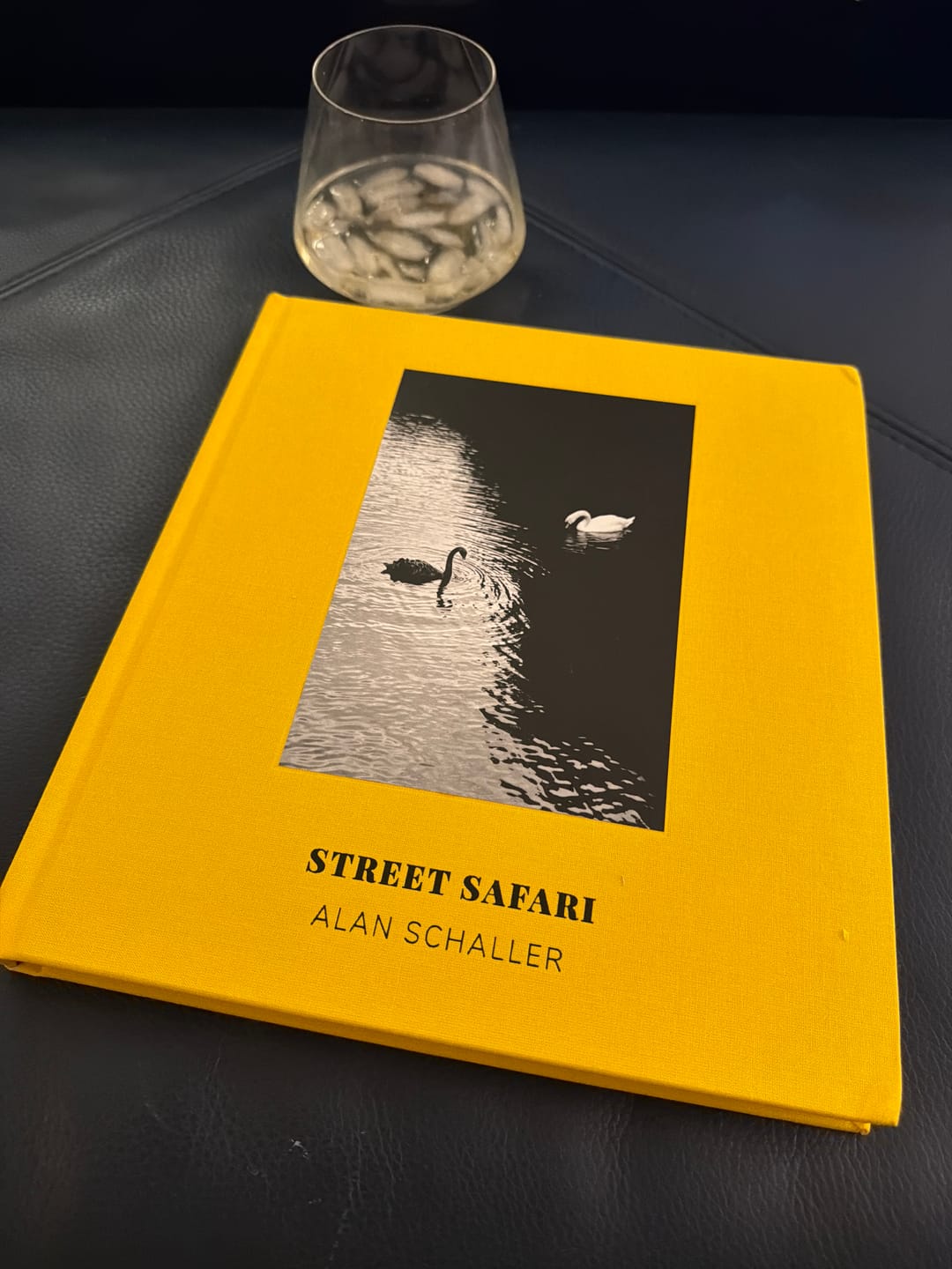 Customer photo review of Street Safari by Alan Schaller – Signed First Edition (Signature Included for the First 400 Orders)