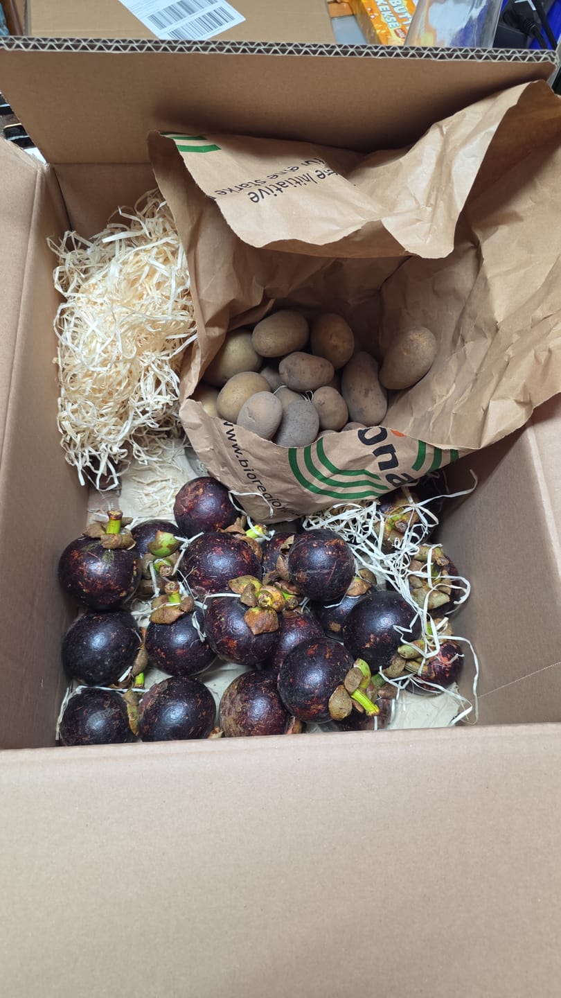 Customer photo review of Mangostan (Mangosteen) Sommeraktion %