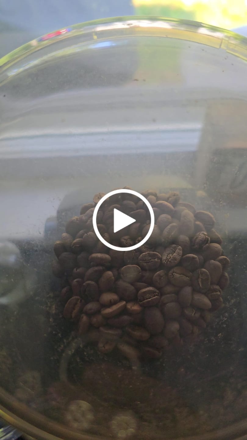 Customer video review of Golden Hour Blend