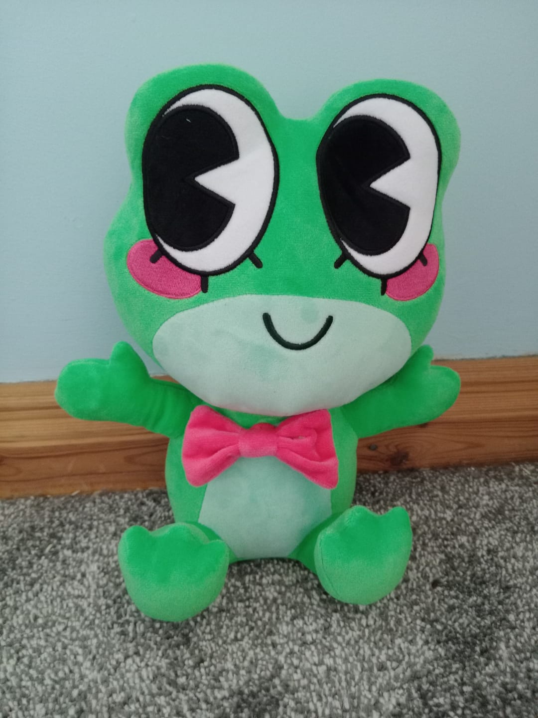 Customer photo review of Ribbit Plush