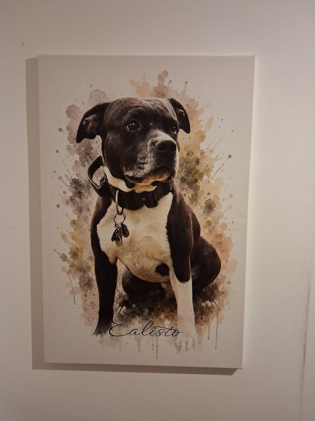 Customer photo review of Dein Haustier als Kunstwerk – mit Live-Vorschau, als Poster oder Leinwand