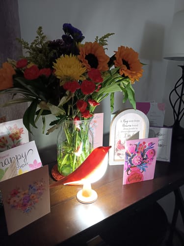 Customer's Glow Bird lamp glowing red on a table among birthday flowers and cards.