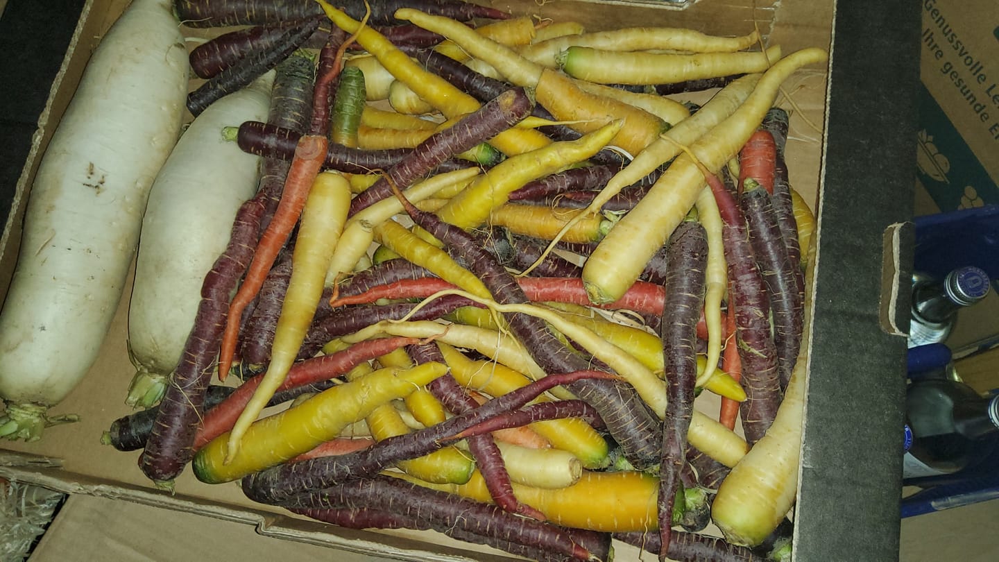 Customer photo review of Karotten bunt Bio Naturland regional