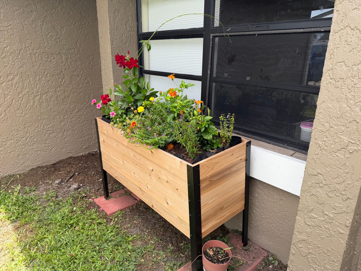Customer photo review of Anniversary Sale | 18” x 48” Deep Root Raised Garden Bed