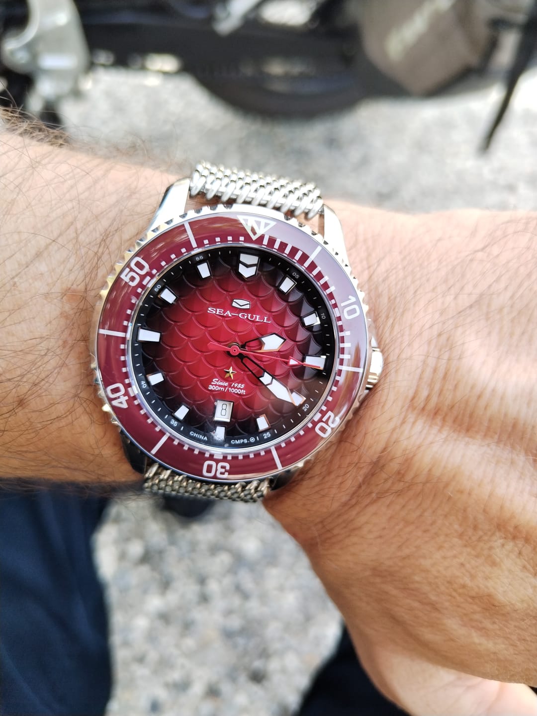 Customer photo review of Ocean Series | Dragon Kings of the Four Seas | Dive | Dual Strap | 44mm