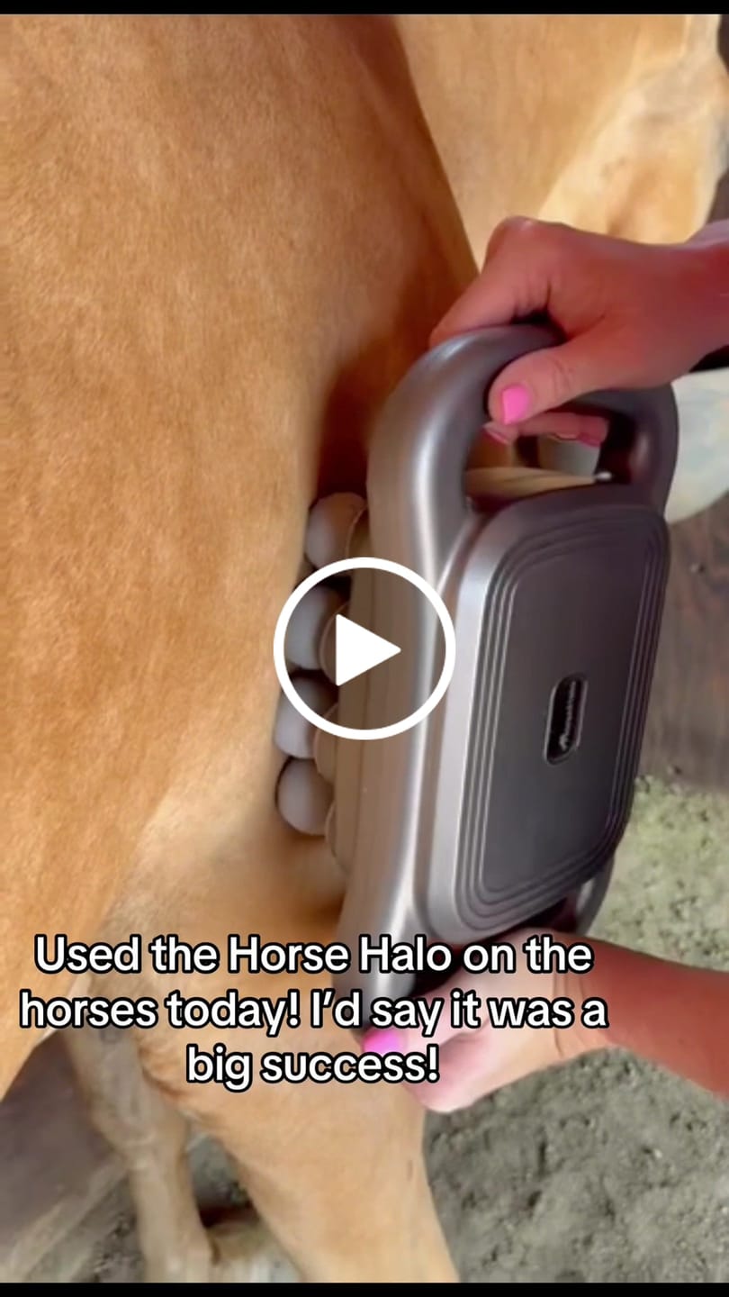 Customer video review of HorseHalo™ 8 Heads Red Light Massage Gun
