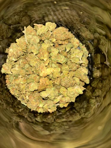 Godfather OG - 28 Gramm - Indica photo review