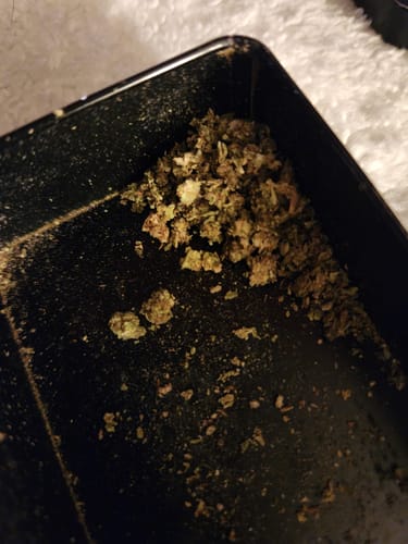 LITTLES BRAND - Apple Banana - 28 Grams Littles - Hybrid photo review