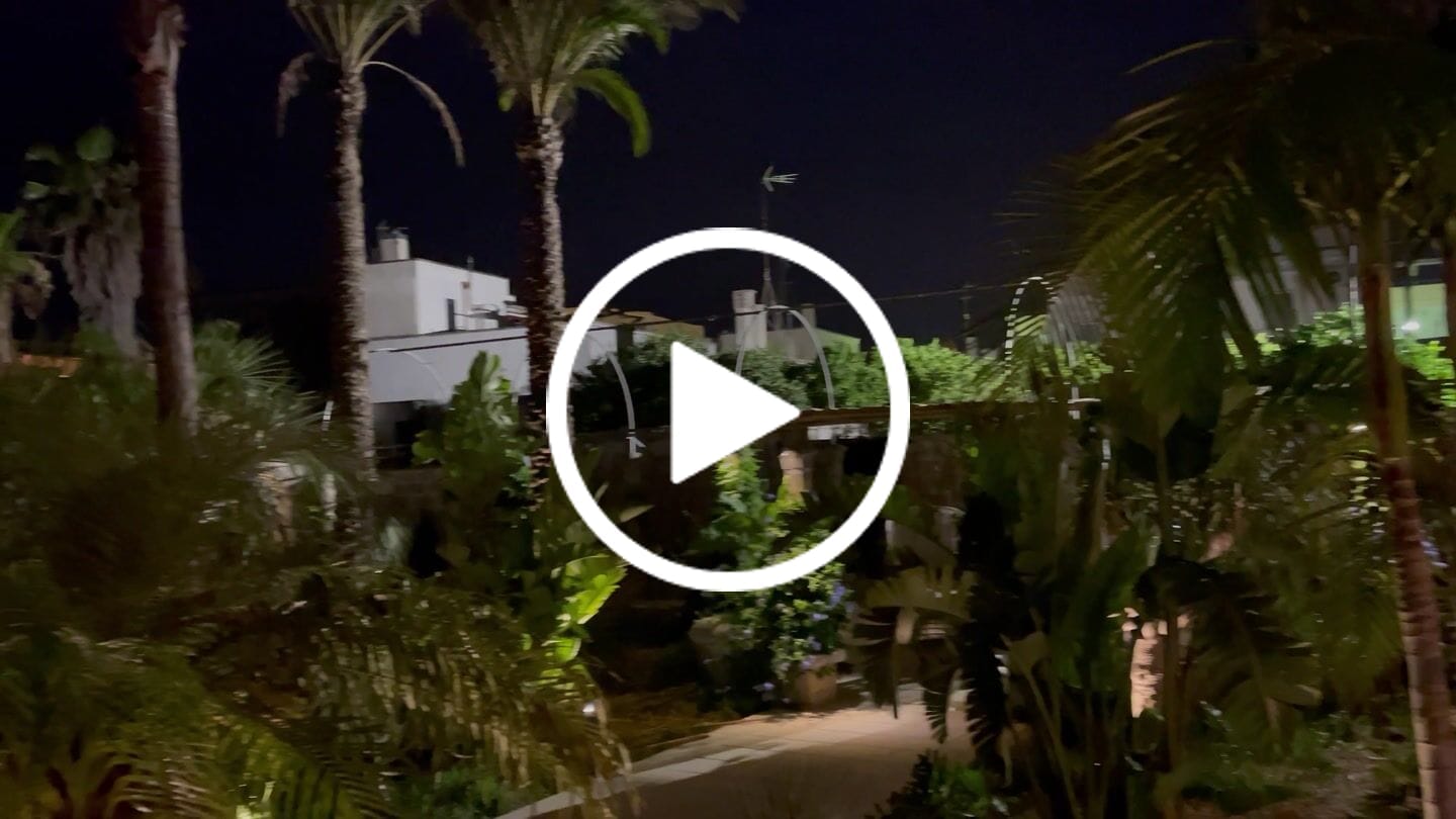 Customer video review of TSUN Solar Spotlights For Trees Warm White