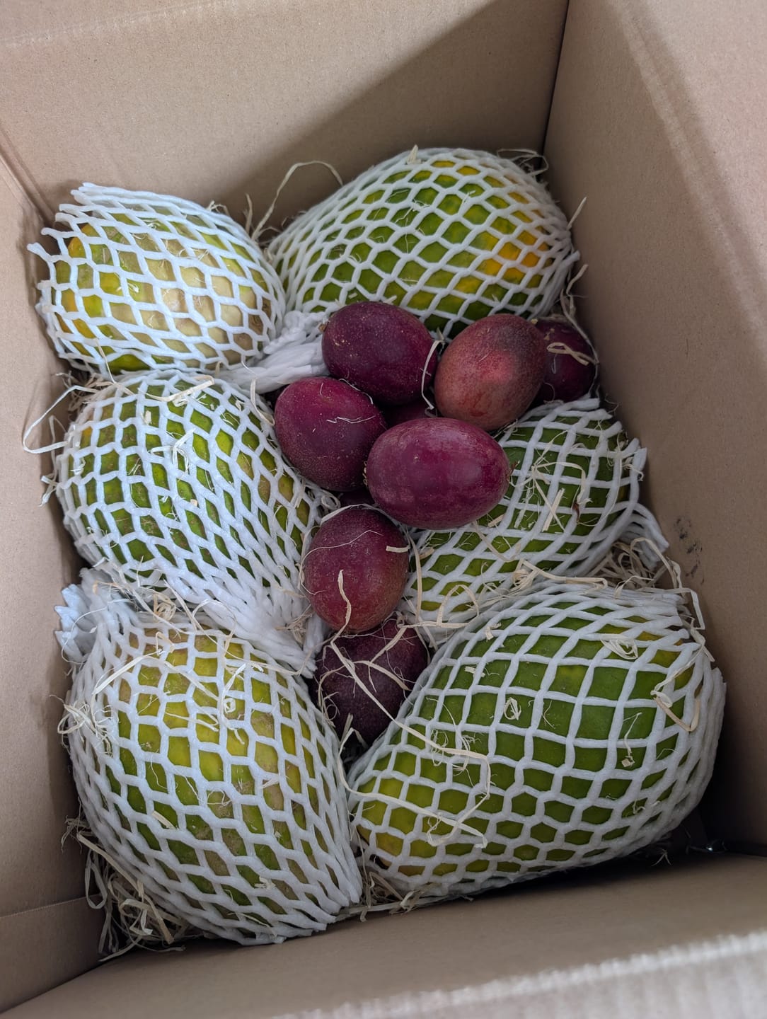 Customer photo review of Papaya Bio von Julian 4kg Box Sonderaktion %