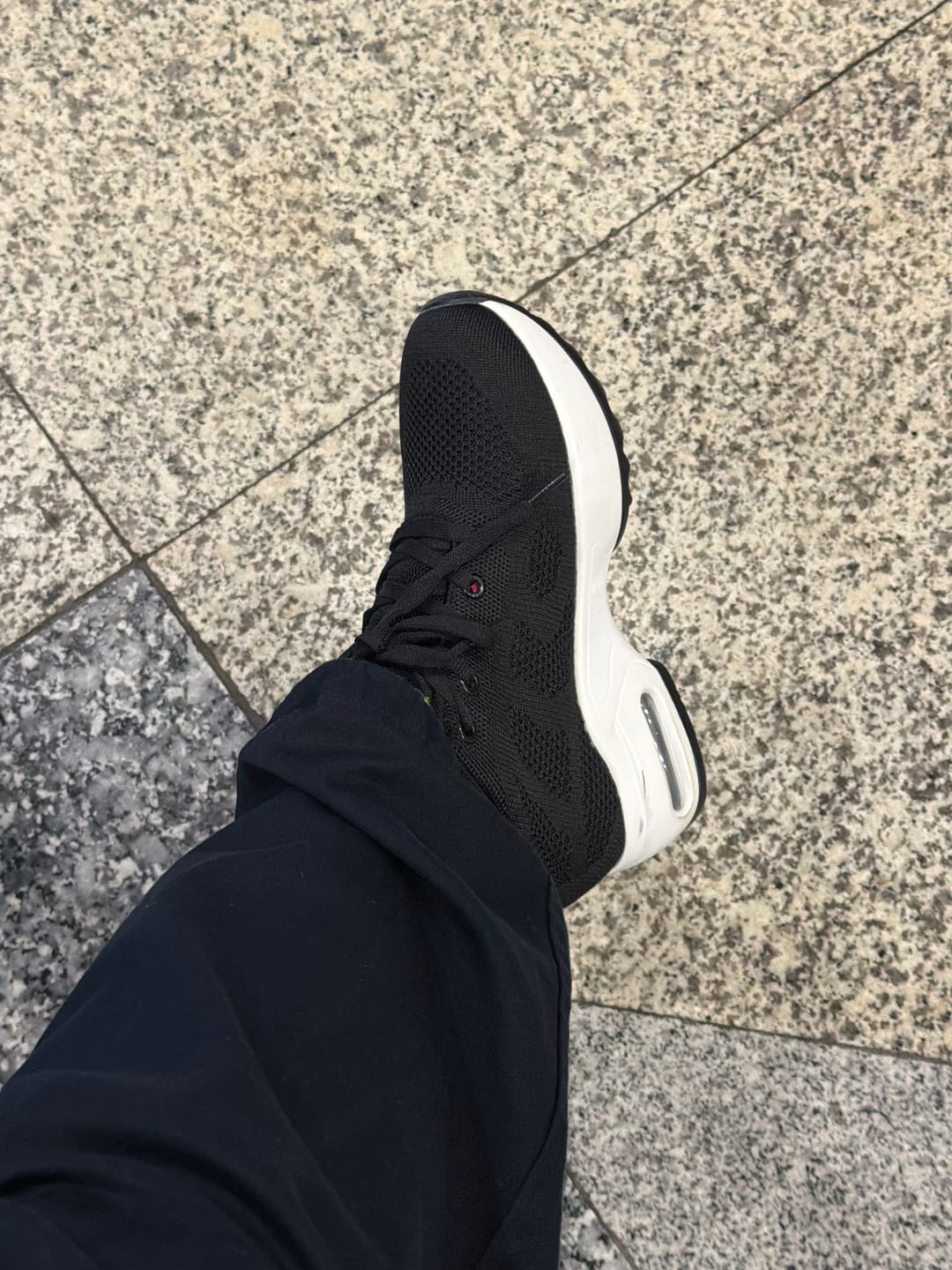 Customer photo review of Starlight - 9cm (3.5")