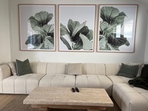 Fiddle Fig I, II & III · 3 Piece Wall Art Set framed in a customer's home - verified photo review