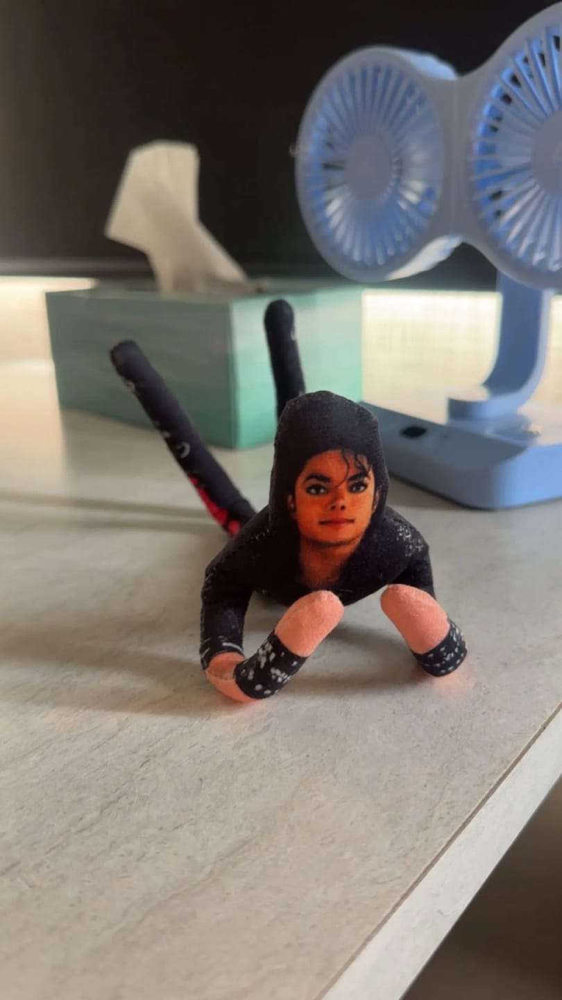 Customer photo review of Mini Michael Doll Plush