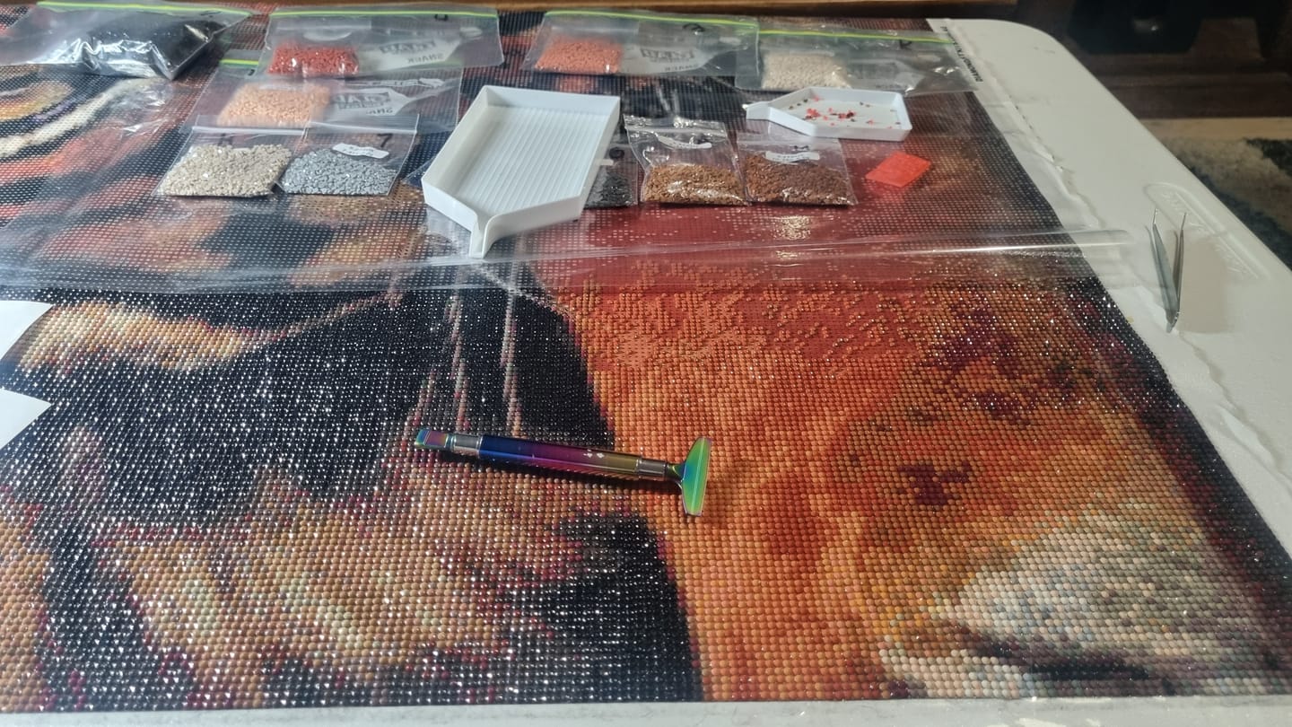 Customer photo review of Full Drill - 5D DIY Diamond Painting Kits Tummy Tiger