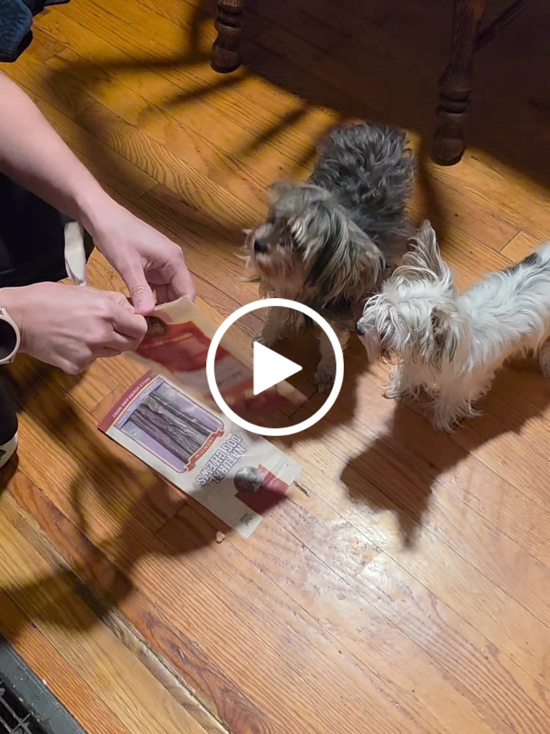 Customer video review of 6 Inch Beef Jerky Stick