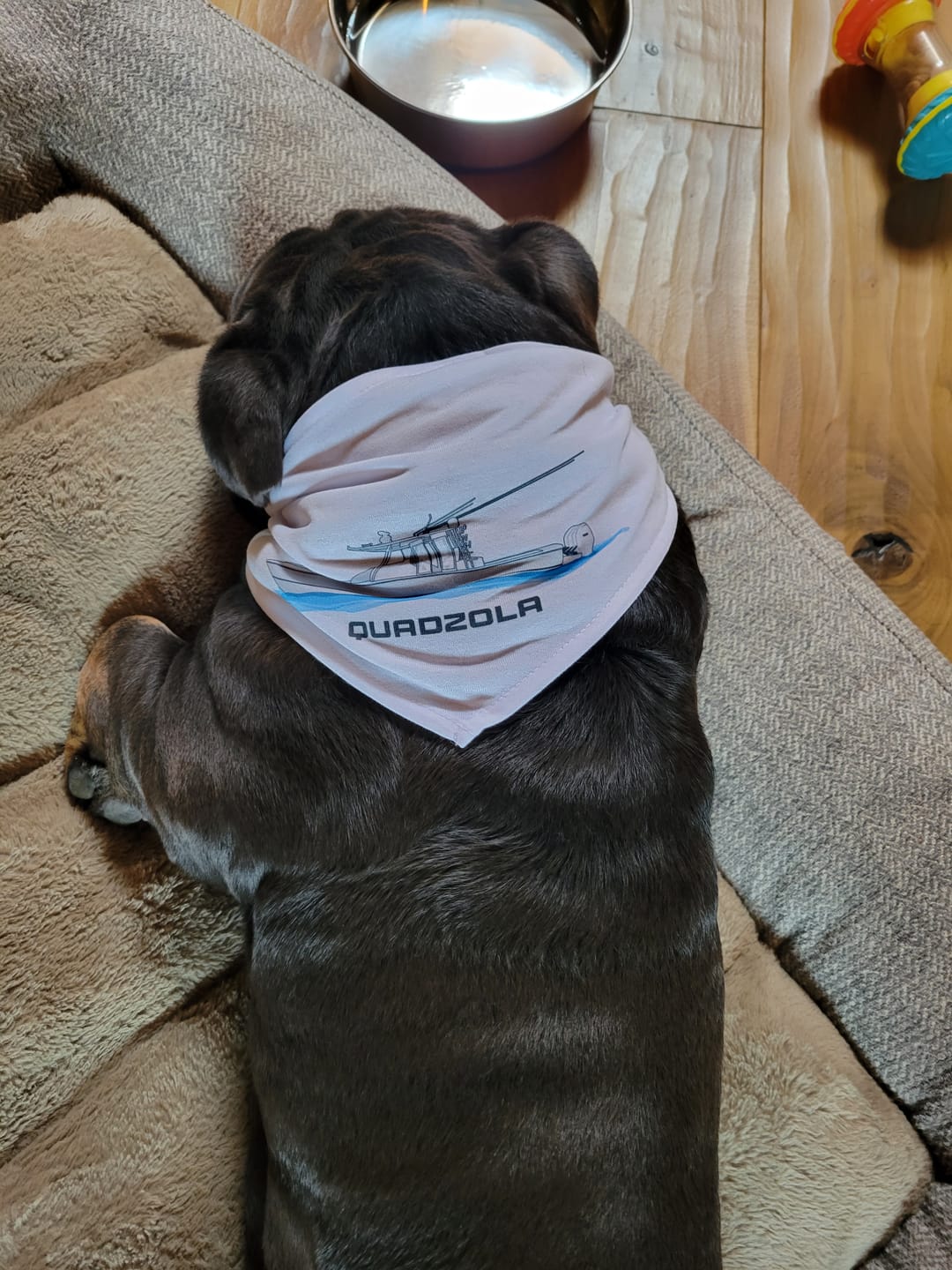 Customer photo review of Custom Pet Bandana