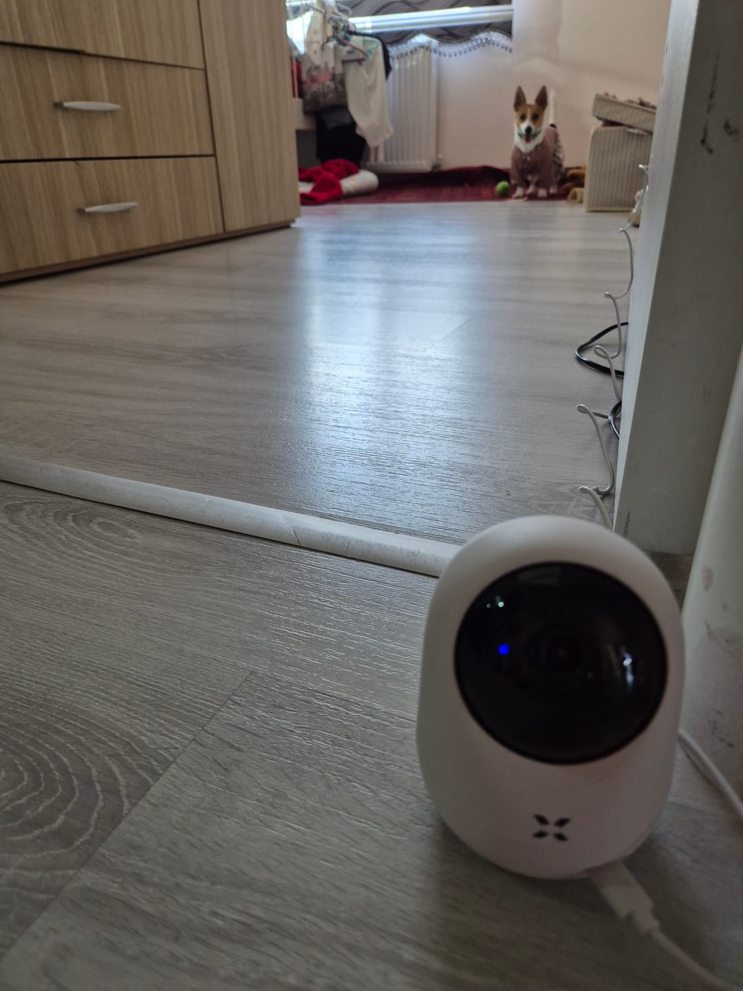 Customer photo review of Ev Kamerası | 2K 3MP, WiFi, Mobil Kontrol, Sesli, 360° Ptz, Hareket Takip, İç Mekan Kamera (X7205)