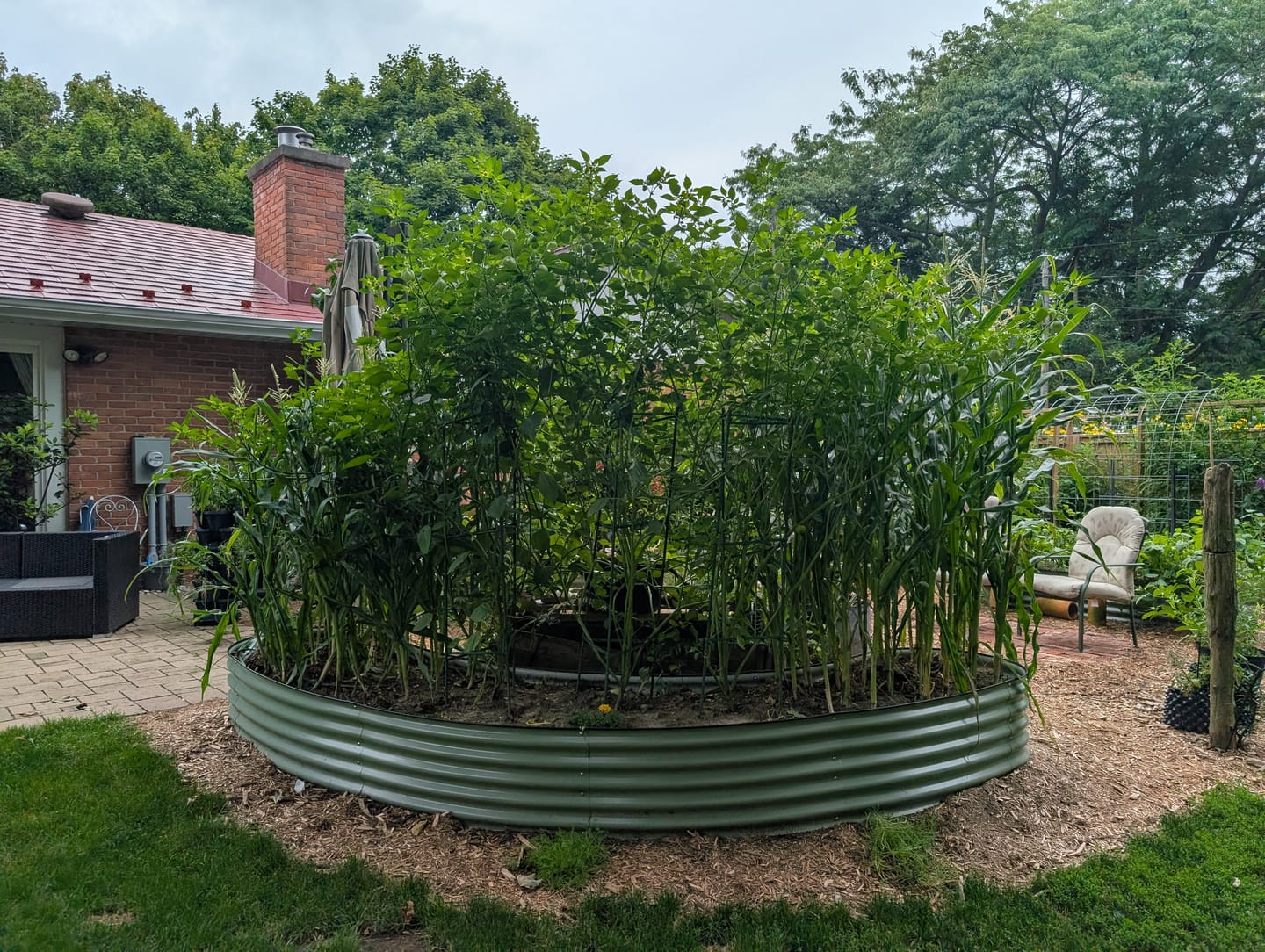 Customer photo review of 17" Tall Crescent