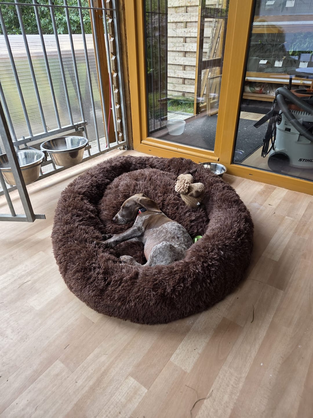 Customer photo review of Puppery Hundebett Wolke 7 - Das Original