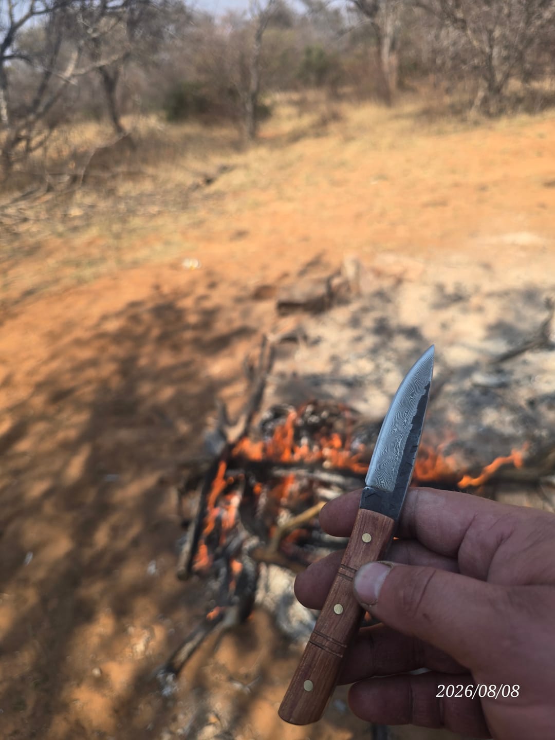 Customer photo review of BRAAIPLANK™ BosLem (16cm Damascus, Hammer Forged Bush Blade)
