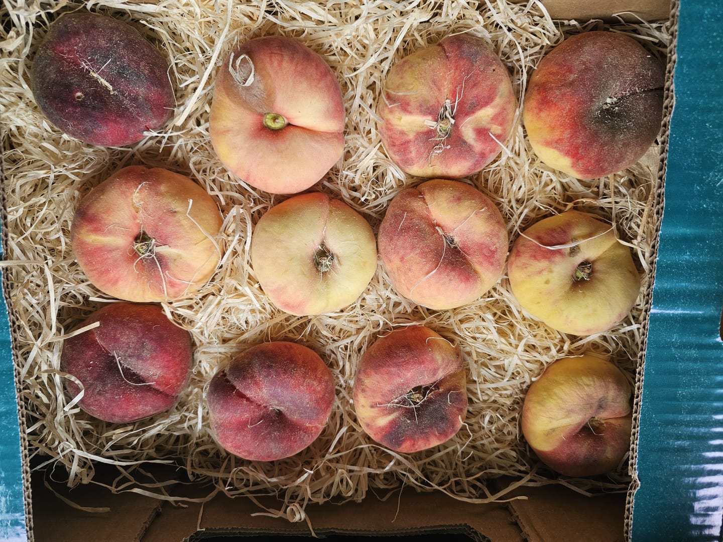 Customer photo review of Pfirsich & Nektarinen Bio von Jordi Retterbox 3kg
