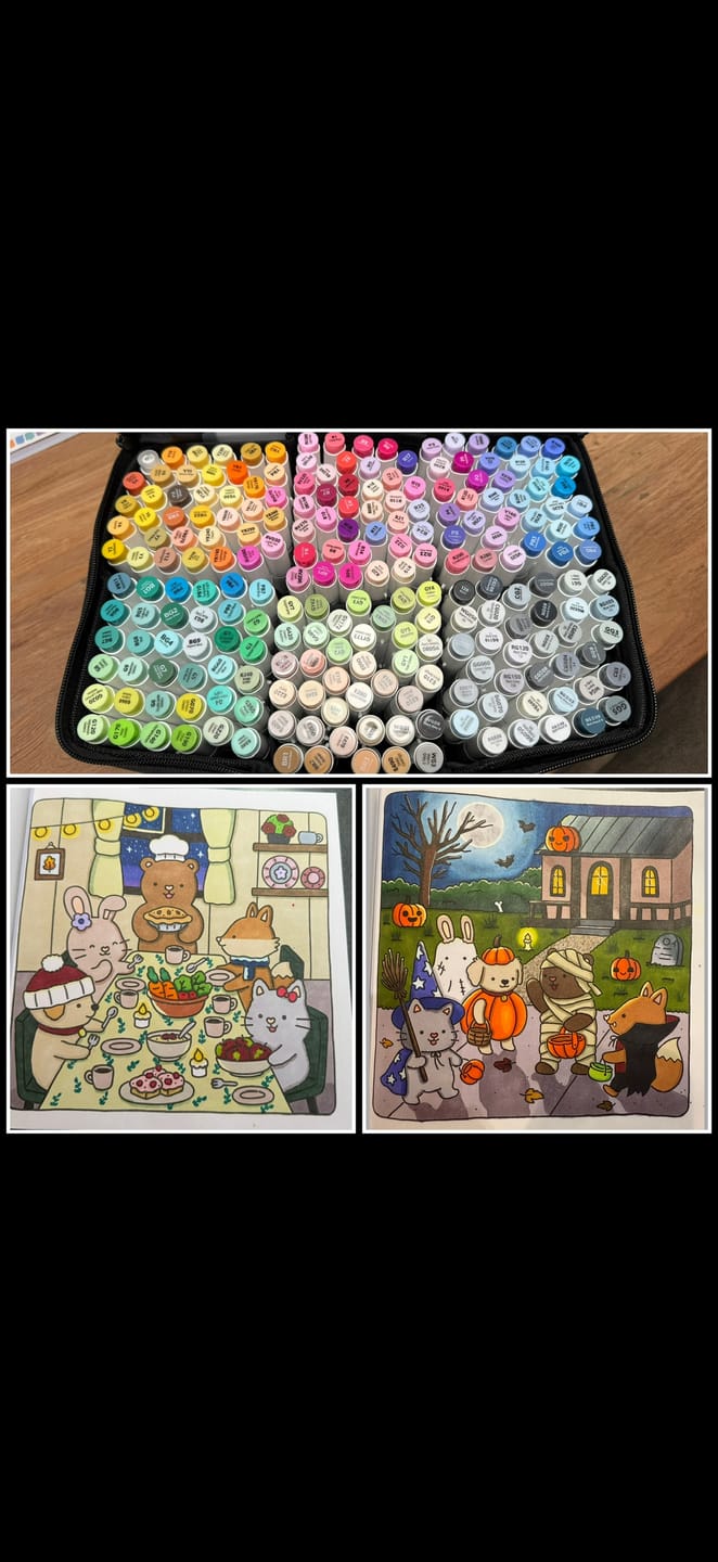 Customer photo review of Ohuhu Honolulu 216 Colors Dual Tips Alcohol Art Markers (New Color Codes)