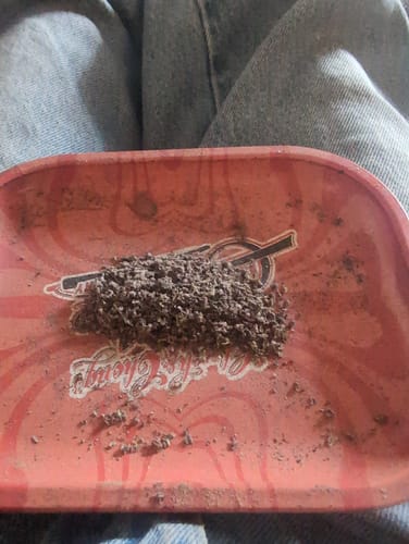Sherblato - Bulk - Hybrid photo review