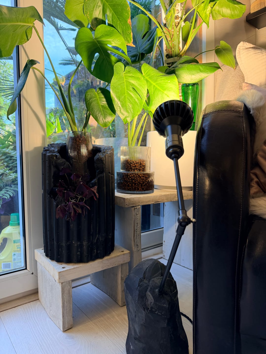 Customer photo review of Pianta LED Grow Light 3-Pack bundle